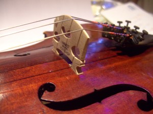 Violin Bridge