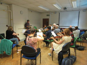 norwich adult beginner strings